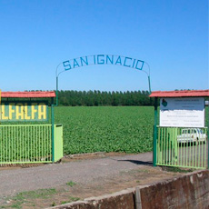 san-ignacio_logo